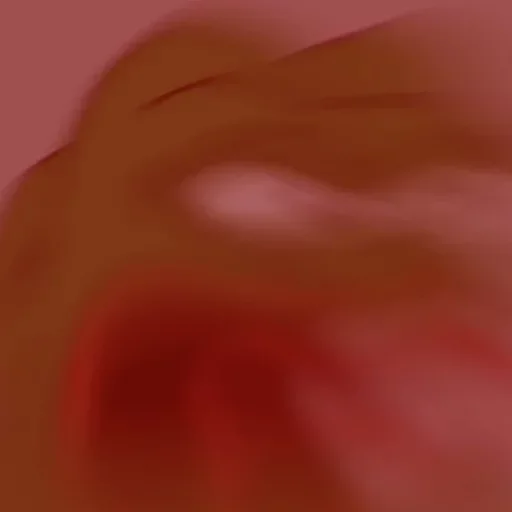 closeup flower peach