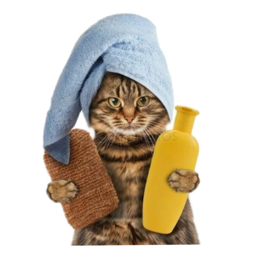 Стикер Добрые - 11