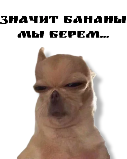 Стикер Добрые - 3