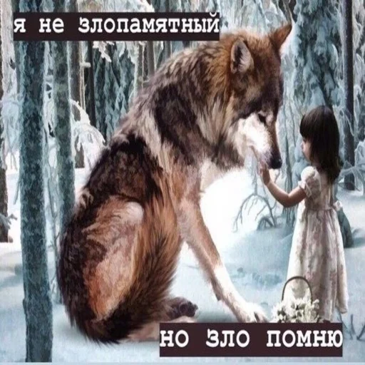 Стикер Volchye - 1