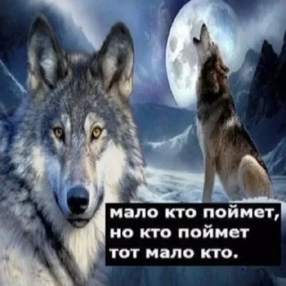 Стикер Dashkini volchary - 10