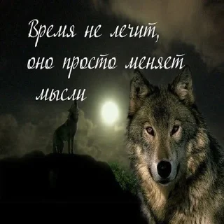 Стикер Dashkini volchary - 5