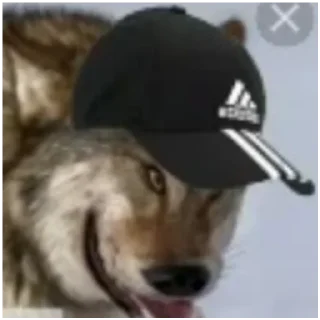 Sticker Волки - 0