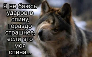 Sticker 🐺☝️ - 8