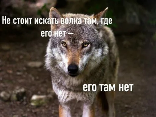 Sticker Volkispeak - 1