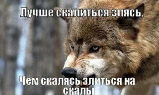 Sticker 🐺☝️ - 3