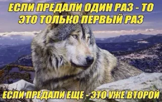 Sticker 🐺☝️ - 5