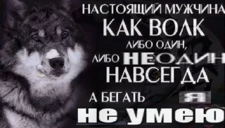 Sticker 🐺☝️ - 4