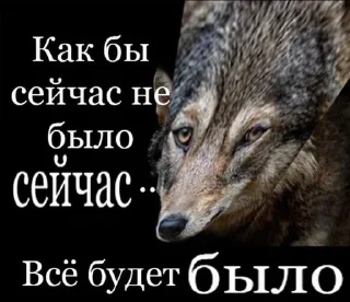 Sticker 🐺☝️ - 1