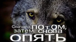 Sticker 🐺☝️ - 7