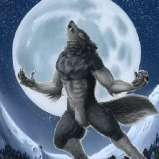 Sticker Волкє - 5