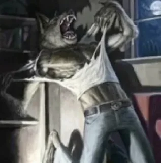 Sticker Волкє - 4