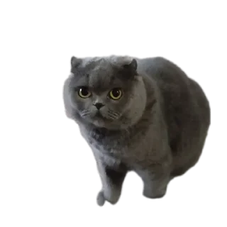 Sticker Волоебики - 4