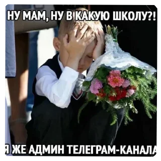 Sticker Волосатый пенис бобра - 9