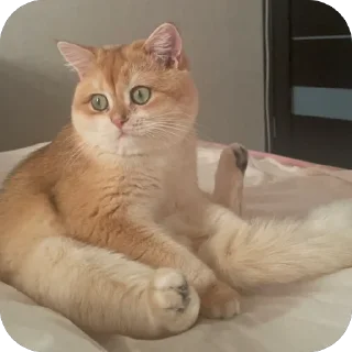 Sticker наш Кевин - 11