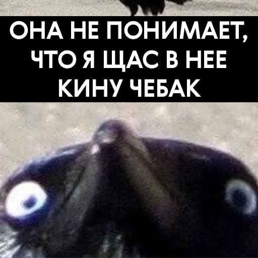 Sticker VoronaWar - 1