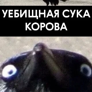 Sticker Vorona War - 9