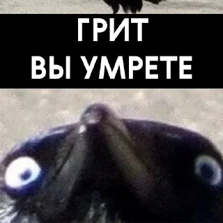 Sticker Vorona War - 5