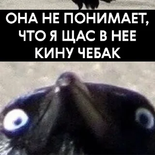 Sticker Vorona War - 8