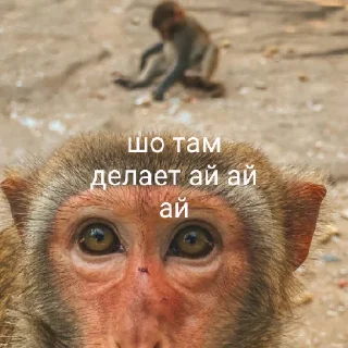 Sticker восемдесят дурашков - 10