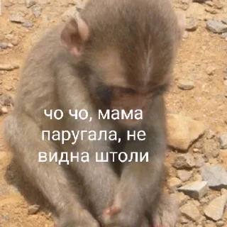 Sticker восемдесят дурашков - 8