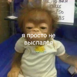 Sticker восемдесят дурашков - 0