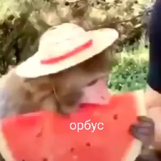 Sticker восемдесят дурашков - 2