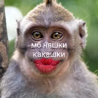 Sticker восемдесят дурашков - 6