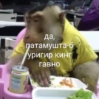 Sticker восемдесят дурашков - 5