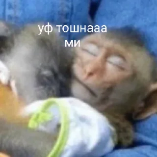 Sticker восемдесят дурашков - 3