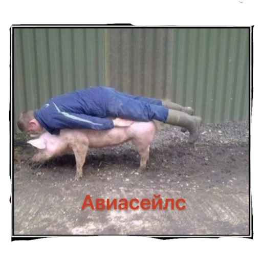 Sticker VotEhtoTyVysralKonechno - 1