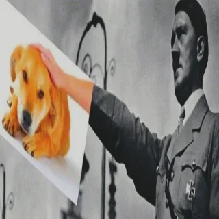 Стикер Стикеры Володя 1337 - 6