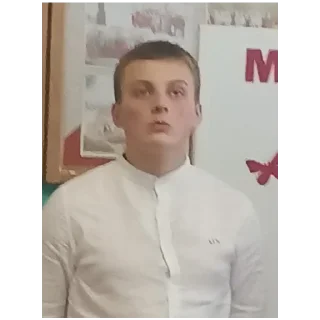 Sticker Вовик трудоголик - 5