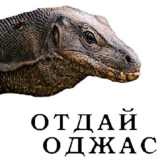 Sticker Vozderganie - 1