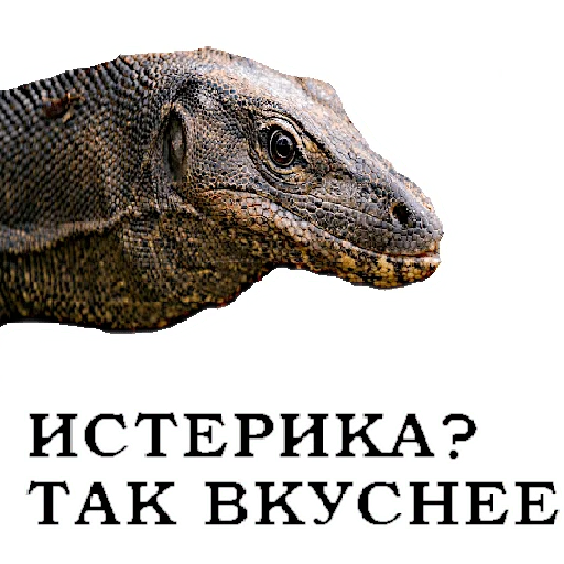 Sticker Vozderganie - 1