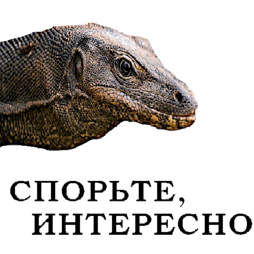 Sticker Vozderganie - 1