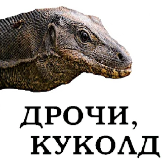 Sticker Воздержание10/psiobezana - 0