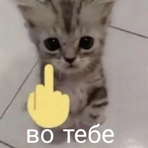 Больше стиков тут: @stikery4 - 