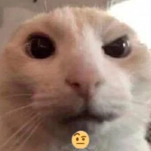 Sticker VprtcqV_by_achestickbot - 1