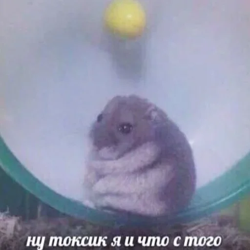 Стикер VprtcqV_by_achestickbot - 1