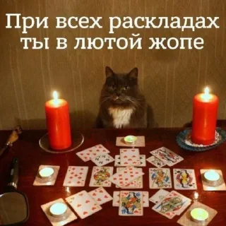 Sticker Больше стиков тут: @stikery4 - 6