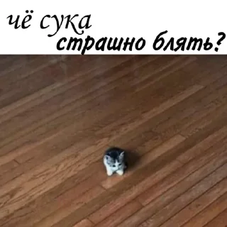 Sticker Больше стиков тут: @stikery4 - 2