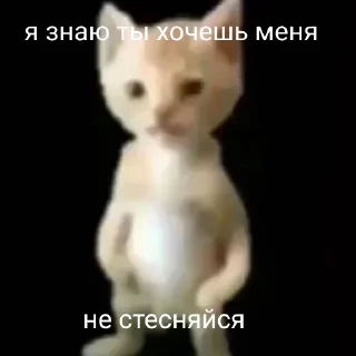 Sticker Больше стиков тут: @stikery4 - 11