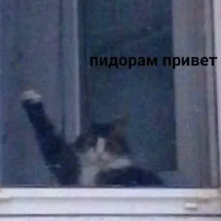 Sticker Больше стиков тут: @stikery4 - 5