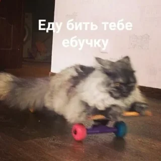 Sticker Больше стиков тут: @stikery4 - 4