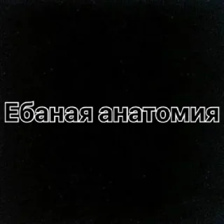 Стикер ХНМУ by @stqrapp - 7