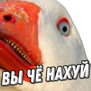 Стикер ВСЁ ОБО ВСЁМ - 5