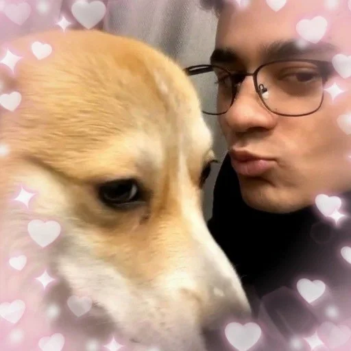 dog breed pet person