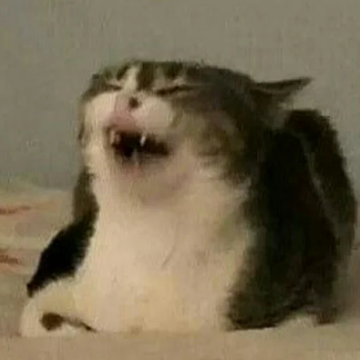 Sticker Vsratokoti - 1