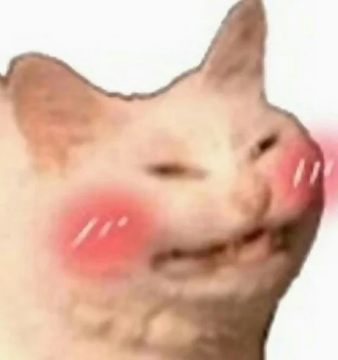 Стикер Vsratokoti - 1